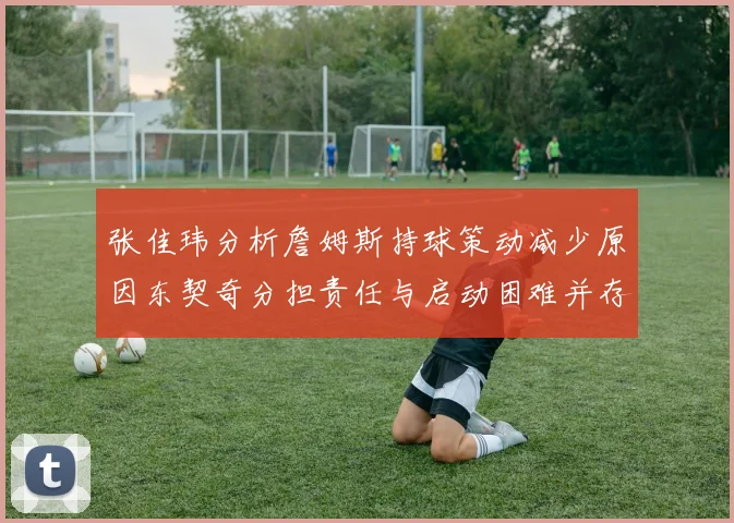 张佳玮分析詹姆斯持球策动减少原因东契奇分担责任与启动困难并存
